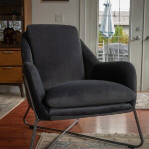 Ragdoll Lounge Chair | Dark Velvet
