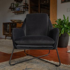 Ragdoll Lounge Chair | Dark Velvet